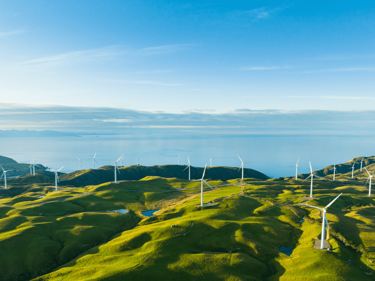 Wind farm